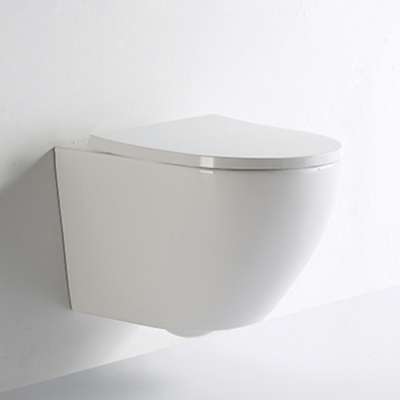 High grade dual flush wall mounted toilet with round shape P-trap hanging wc for European