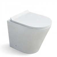 Rimless back to wall P trap 180mm roughing-in toilet suite