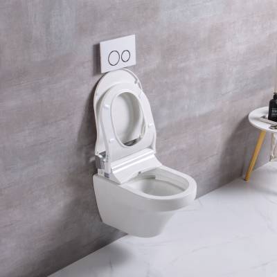 Delicate Appearance China Wholesale Sensor Toilet Auto Flush